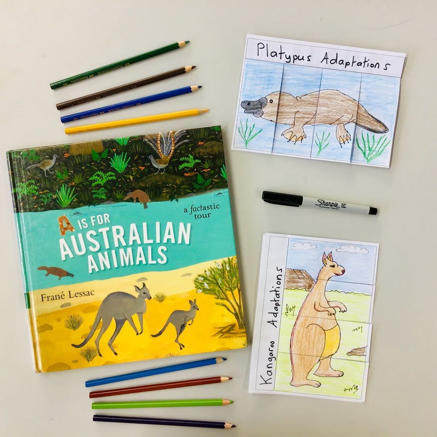 Animal Adaptations - Australian Animals